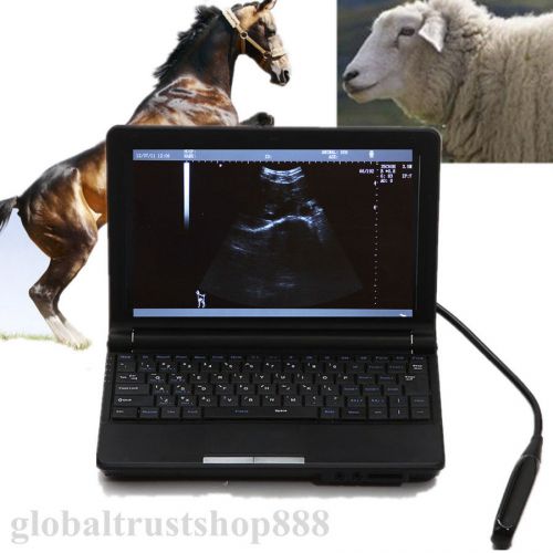 Vet veterinary portable laptop digital ultrasound machine scanner + rectal probe for sale