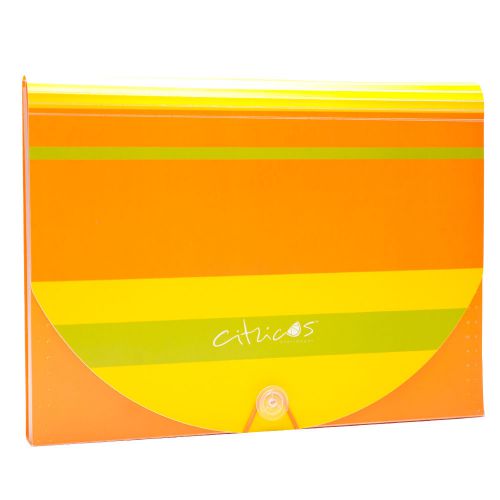 CITRICUS EXPANDING FILE FOLDER, 13 Pockets, Letter Size, Orange (1009)