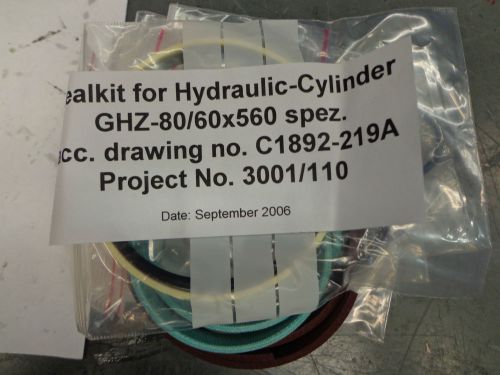 Seal Kit for Hydraulic Cylinder