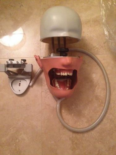 Frasaco P-6/3 Premium Dental Mannequin Head with Typodont and Hinge Assembly