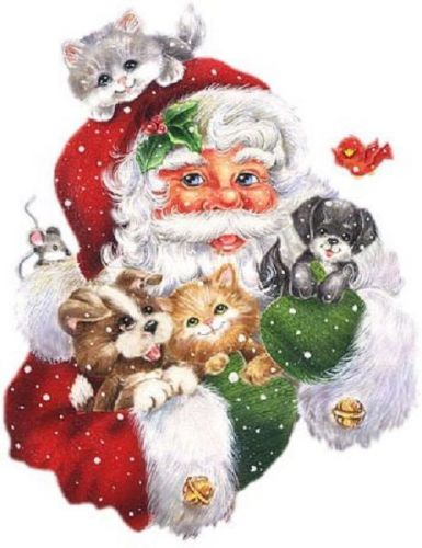 30 Custom Santa with Animals Personalized Address Labels