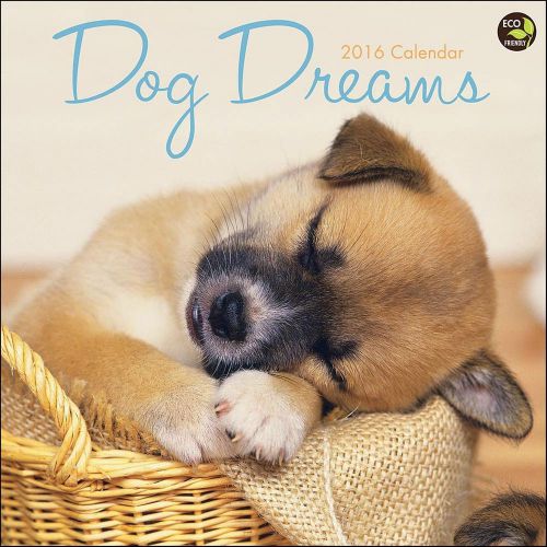 2016 Dog Dreams 12&#034; x 12&#034; Wall Calendars NEW TF Publishing pooch puppies nap