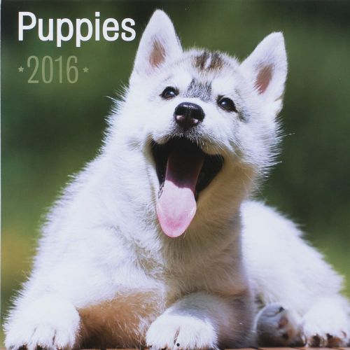 16-Month 2016 PUPPIES Wall Calendar NEW &amp; SEALED Cute Animals &amp; Cuddly Dogs