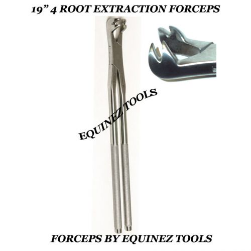 19&#034; Equine 4 Root Extraction Forceps,Hand Crafted, Stainless Steel Equine dental