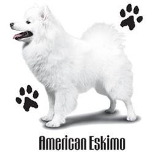 American eskimo dog heat press transfer print for t shirt tote sweatshirt  802b for sale