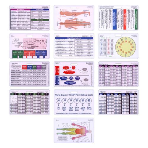 Complete Nurse Horizontal Badge Card Set - 12 Cards - Reference Card RN LPN CNA