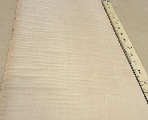 Curly Maple wood veneer 10&#034; x 37&#034; raw no backing 1/42&#034; thickness &#034;AA&#034; grade