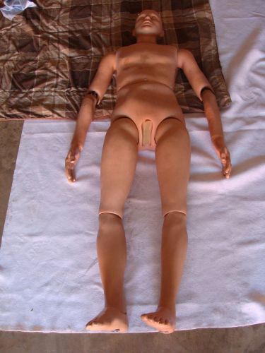 Lot of 2 Anatomical Patient Care Male Manikin Training Model Nursing