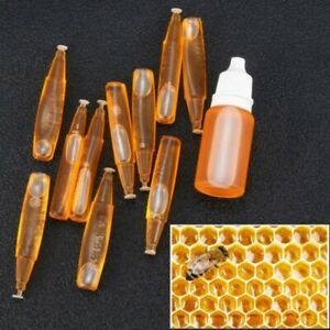 Attractant Bee Set Fruits Wax Honey Swarm Lures Equipment Bait Tubes Tool 10