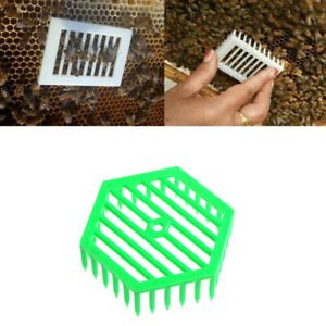 1PC Plastic Green Queen Marker Cage Clip Bee Catcher Beekeeping Tool S HYA j Gr