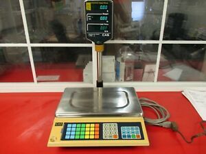 CAS Scale AP-1 Scale 30 lbs Tested And Working #5952