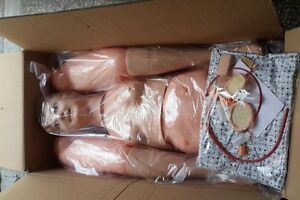 Nursing Manikin Multi Functional Model  Female - Dr82