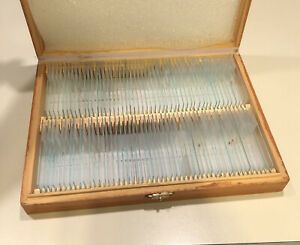 100 Piece Prepared Glass Microscope Slides in Wood Case W/ Plants Animal Human
