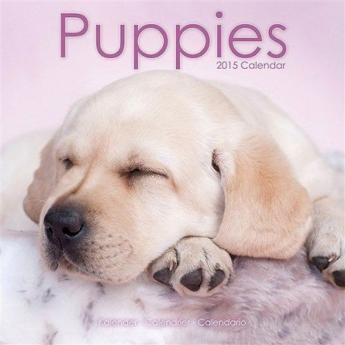 NEW 2015 Puppies Wall Calendar by Avonside- Free Priority Shipping!