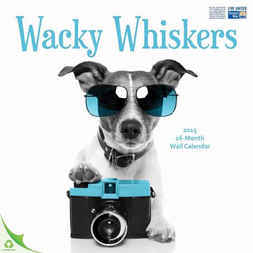 2015 WACKY WHISKERS Wall Calendar 12x12 NEW Funny Dog, Cats, Kittens, &amp; Puppies!