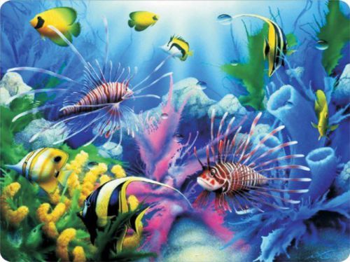 Colorful Tropical Fish Ocean Life Mousepad