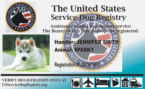 Holographic service dog custom id card for sale