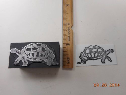 Letterpress Printing Printers Block, Tortoise, Turtle Walking