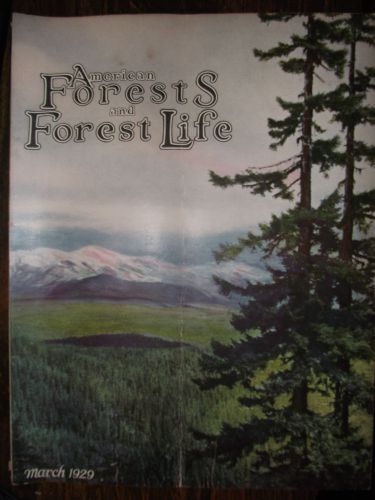 1929 MARCH ~ AMERICAN FOREST MAGAZINE ~ AMERICAN FORESTY ASSOCIATION ~ VERY NICE