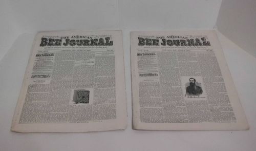 2 The American Bee Journal Newsletters 1881 Old Vintage Antique Beekeeping