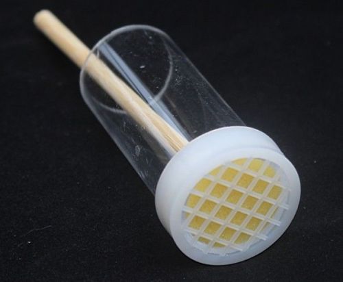 New 3pcs queen marking cage with plunger beekeeping bee for sale