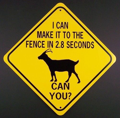 GOAT TO FENCE IN 2.8 SEC CAN YOU? Aluminum Sign Won&#039;t rust or fade