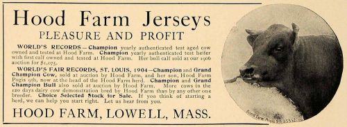 1906 ad hood farm jerseys lowell worlds fair record cow - original cl9 for sale
