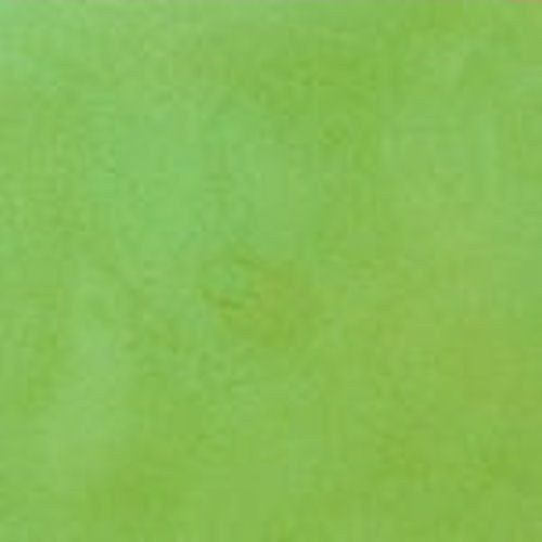 Tru Tint Concrete Acid Stain - Green Apple 1 Gallon