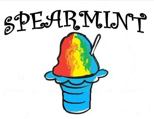 SPEARMINT SYRUP MIX Snow CONE/SHAVED ICE Flavor GALLON CONCENTRATE #1 FLAVOR