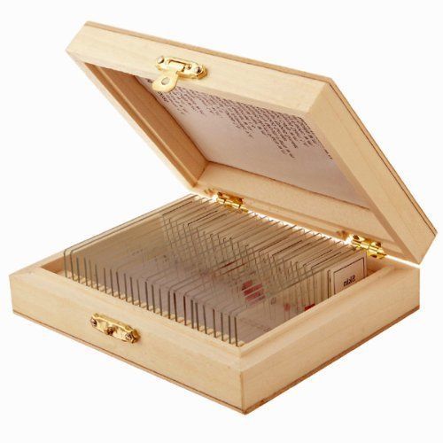 25 prepared microscope slide, biological science education with wooden case new for sale