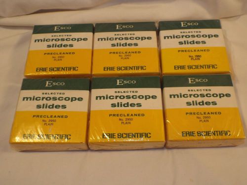 6 Boxes of Esco 2950 Pre cleaned Clear Microscope Slides 1mm 25x75 Sealed