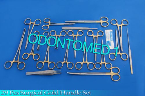 29 PCS GOLD HANDLE FELINE CANINE STUDENT DISSECTION SPAY PACK KIT + BLADES #24