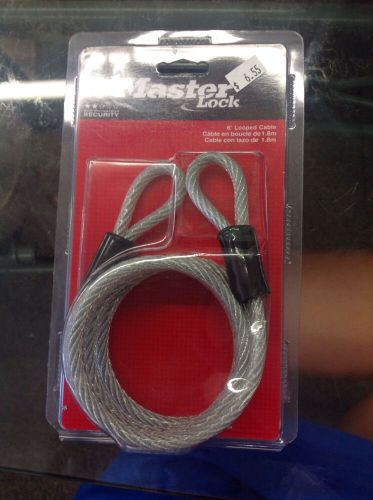Master Lock 6&#039; Looped Cable