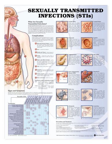 SEXUALLY TRANSMITTED INFECTIONS (STIs), LAMINATED ANATOMICAL CHART, 20 X 26