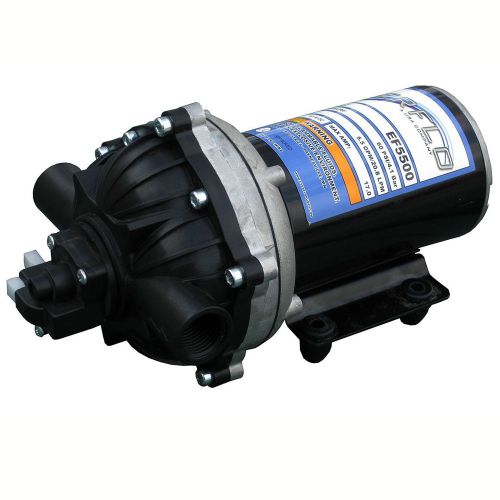 Everflo ef5500 12-volt diaphragm pump for sale