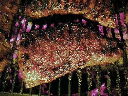 How to manual for juicy, perfect smoked tri tip. free rub! smoker perfect! for sale