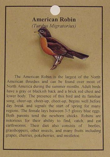 ROBIN BIRD HAT PIN LAPEL PINS FREE U.S. SHIPPING
