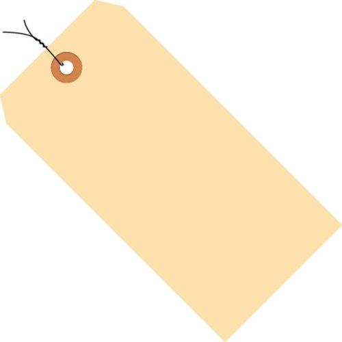 Aviditi G30063 10 Point Cardstock Pre-Wired Shipping Tag, 5-1/4&#034; Length x 2-5/8&#034;