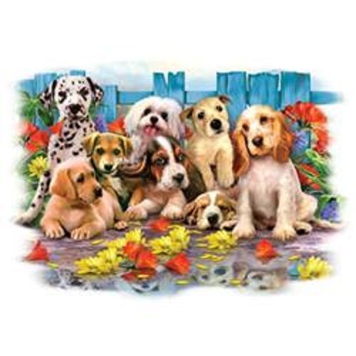 Puppy dog heat press transfer print for t shirt sweatshirt quilt fabric #999a for sale