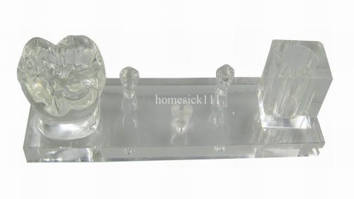 Dental Crystal Tooth Business Name Card Holder Case Transparent G025 large hom