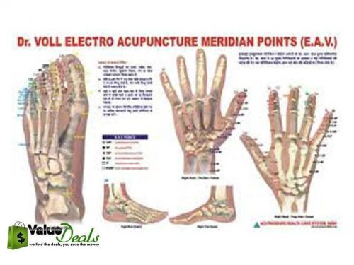 Acupuncture Meridian Points Chart E.A.V. Study Educational Academics Teaching