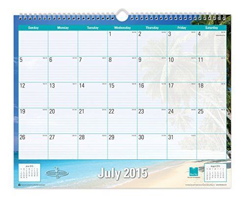Blue sky 2015-2016 academic year wall calendar, endless summer collection, for sale