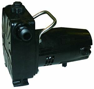 Barnes 134678 Model BT50 Transfer Pump 1/5 hp 120V 1 Phase 3/4&#034; GHT Vertical ...