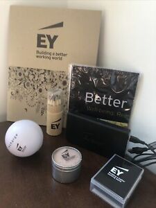 ernst and young bundle Of 7 Items! EY Ernst &amp; Young Big Four Accounting