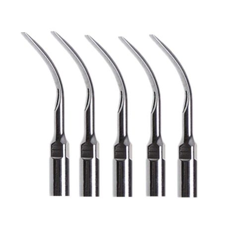 5 pc dental ultrasonic scaling tips fit fpr ems woodpecker scaler silver g6 for sale