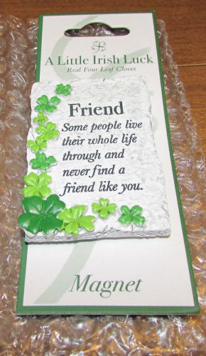 FRIEND MAGNET- This Thoughtful Message To A Friend is Presented On A Stone.