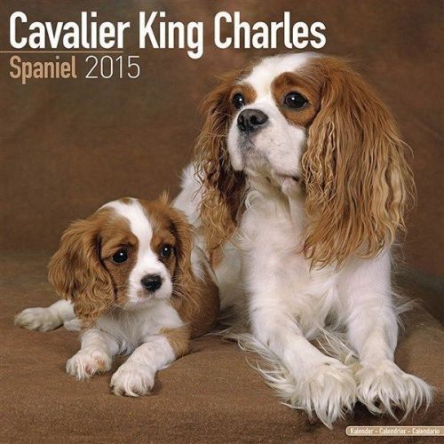 New 2015 cavalier king charles spaniel calendar by avonside- free priority shipp for sale