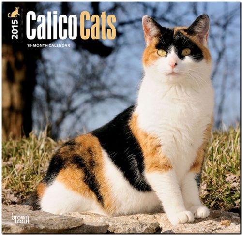 Calico Cats 2015 Wall Calendar - 12X12 - NEW