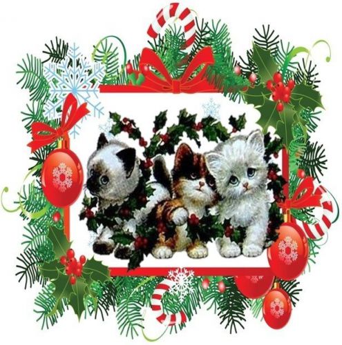 30 Personalized Christmas Animals Return Address Labels Gift Favor Tags (xa21)