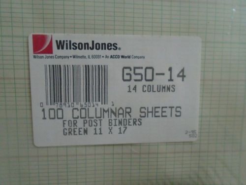 Wilson Jones 100 Columnar Sheets for Post Binders
